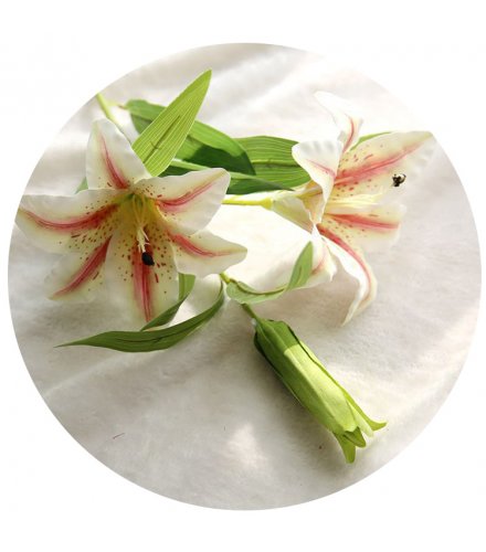 HD089 - Lilly Flowers